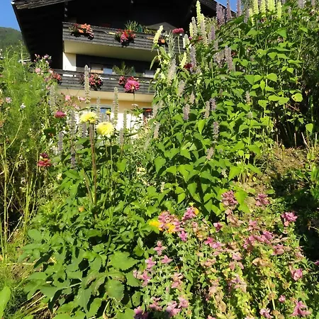 Anemoon In Lägenhet